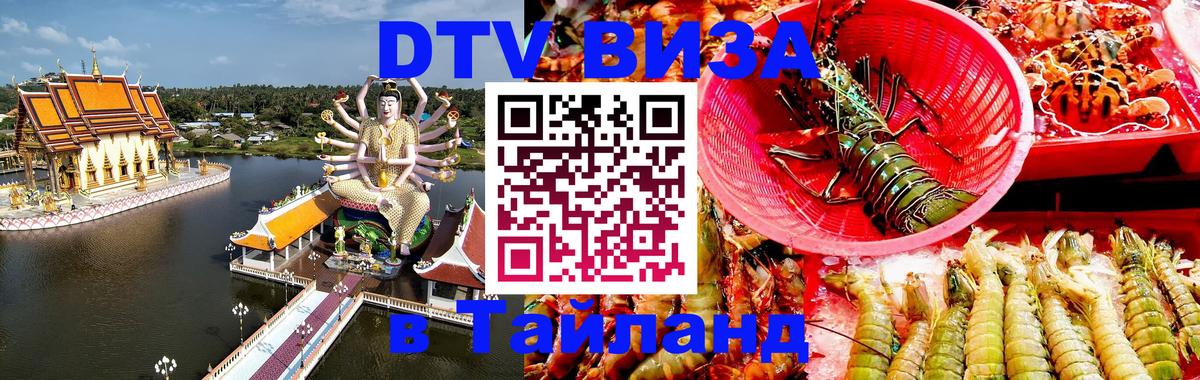 Оформление DTV визы под ключ: стоимость и тарифы, только загранпаспорт - Волгодонск  05.10.2025 